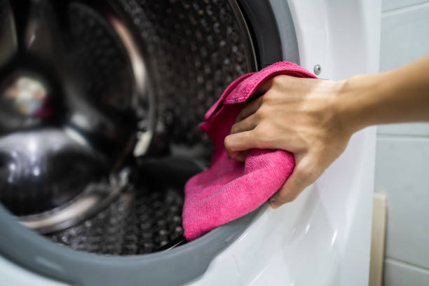Mold Odor Removal Services in Kenilworth, IL