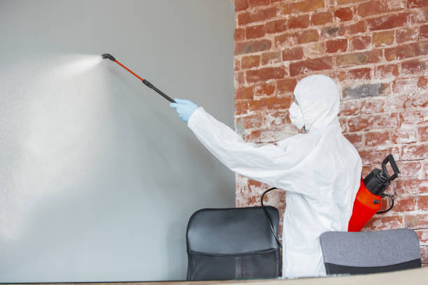 Kenilworth, IL Mold Removal Company