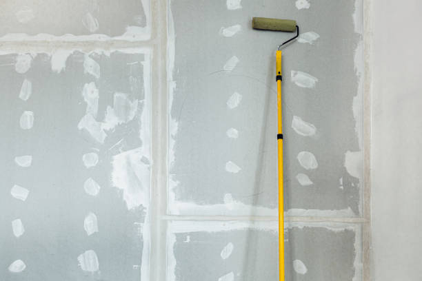 Best Mold-Related Health Consultation  in Kenworth, IL