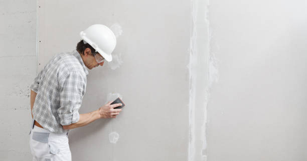 Best Asbestos and Lead Testing During Mold Inspection  in Kenworth, IL
