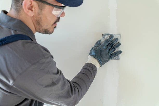 Best Post-Construction Mold Inspection  in Kenworth, IL