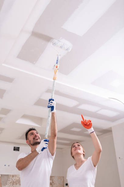 Best Mold Damage Restoration  in Kenworth, IL