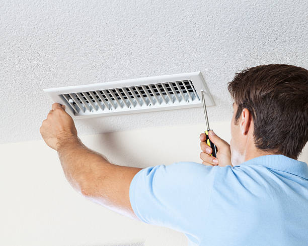 Best Basement Mold Removal  in Kenworth, IL