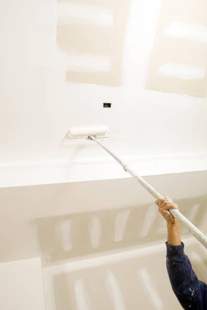 Forensic Mold Investigation in Kenilworth, IL