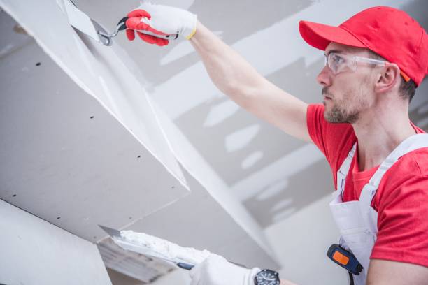 Best Commercial Mold Inspection  in Kenworth, IL